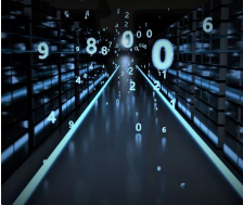 我们的投资策略